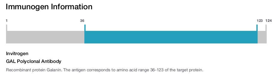 GAL Polyclonal Antibody