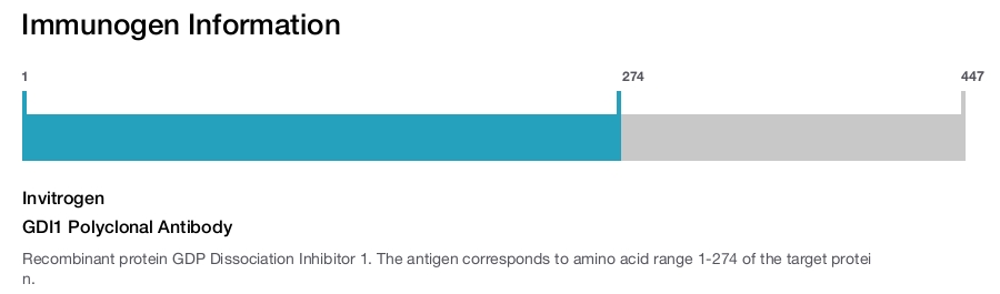 GDI1 Polyclonal Antibody