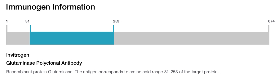 Glutaminase Polyclonal Antibody