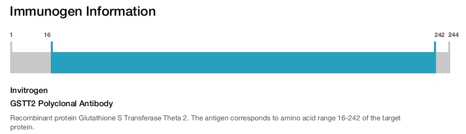 GSTT2 Polyclonal Antibody