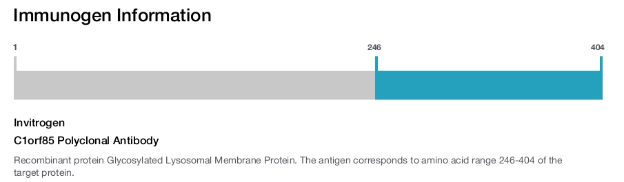 C1orf85 Polyclonal Antibody