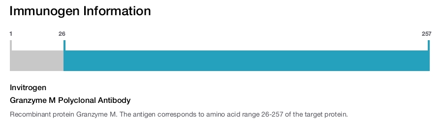 Granzyme M Polyclonal Antibody