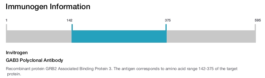 GAB3 Polyclonal Antibody