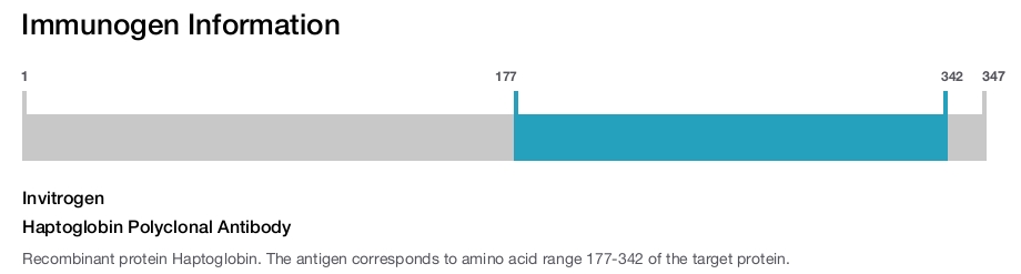 Haptoglobin Polyclonal Antibody