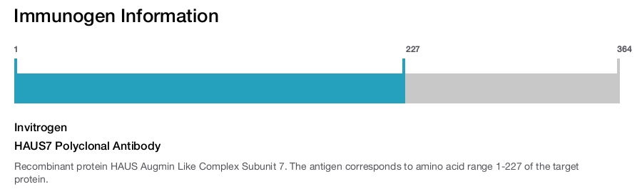 HAUS7 Polyclonal Antibody