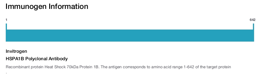 HSPA1B Polyclonal Antibody