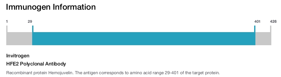HFE2 Polyclonal Antibody