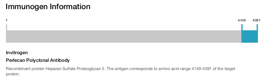 Perlecan Polyclonal Antibody