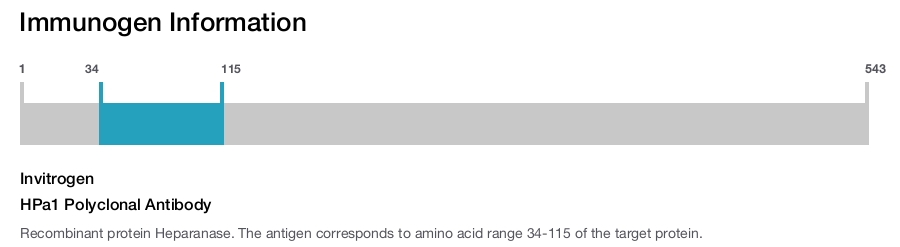 HPa1 Polyclonal Antibody