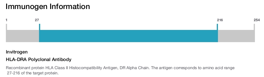 HLA-DRA Polyclonal Antibody