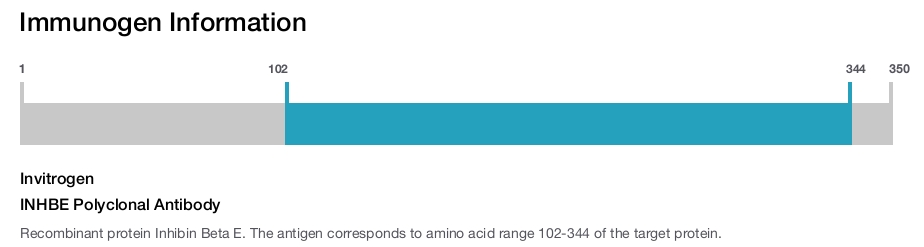 INHBE Polyclonal Antibody