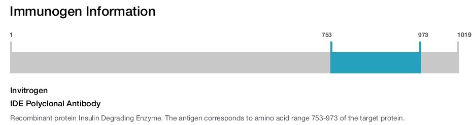 IDE Polyclonal Antibody