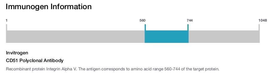 CD51 Polyclonal Antibody