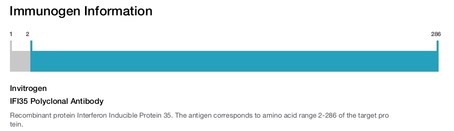 IFI35 Polyclonal Antibody