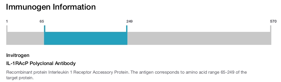 IL-1RAcP Polyclonal Antibody