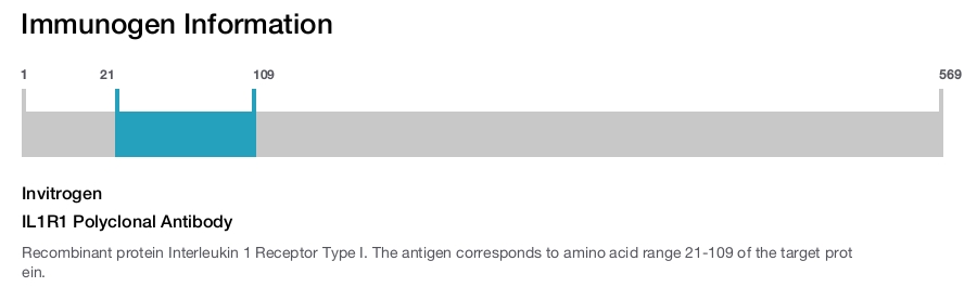 IL1R1 Polyclonal Antibody