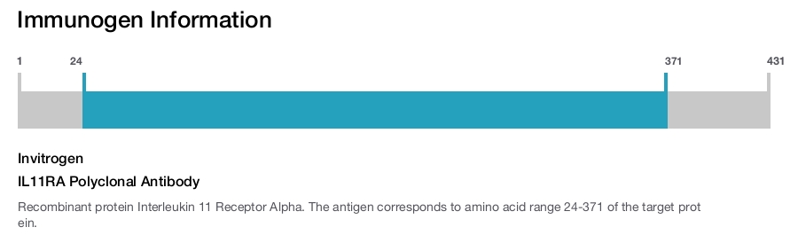 IL11RA Polyclonal Antibody