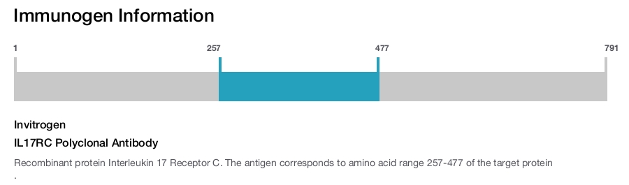 IL17RC Polyclonal Antibody
