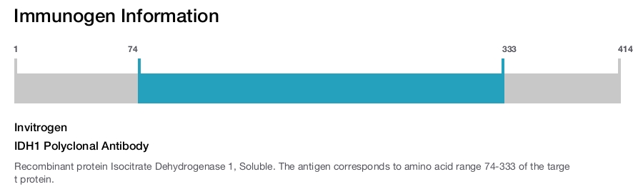 IDH1 Polyclonal Antibody