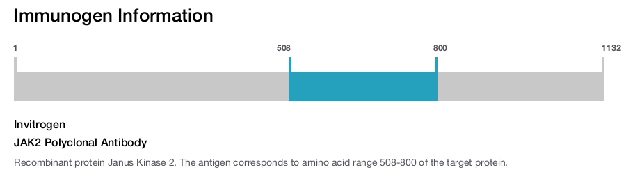 JAK2 Polyclonal Antibody