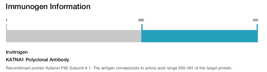KATNA1 Polyclonal Antibody