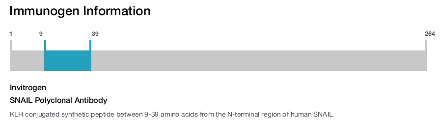 SNAIL Polyclonal Antibody