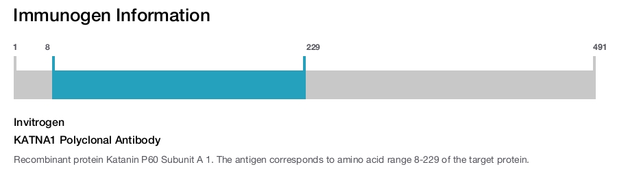 KATNA1 Polyclonal Antibody