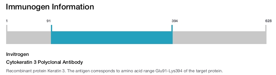 Cytokeratin 3 Polyclonal Antibody
