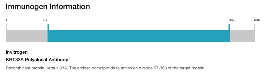 KRT33A Polyclonal Antibody