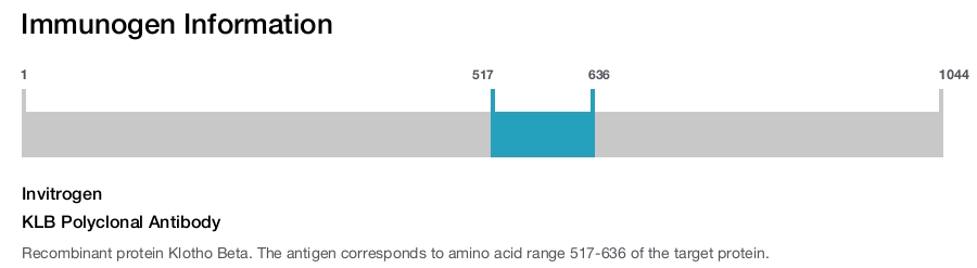 KLB Polyclonal Antibody