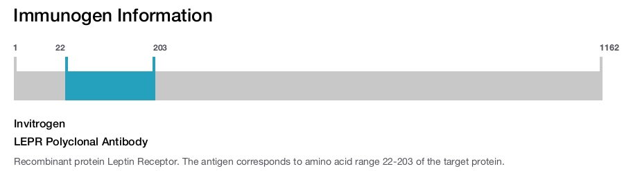 LEPR Polyclonal Antibody