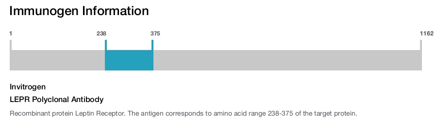 LEPR Polyclonal Antibody