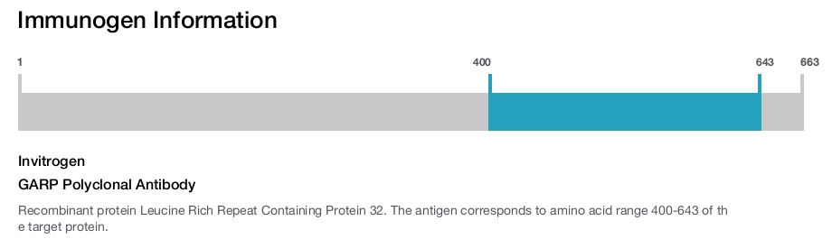GARP Polyclonal Antibody