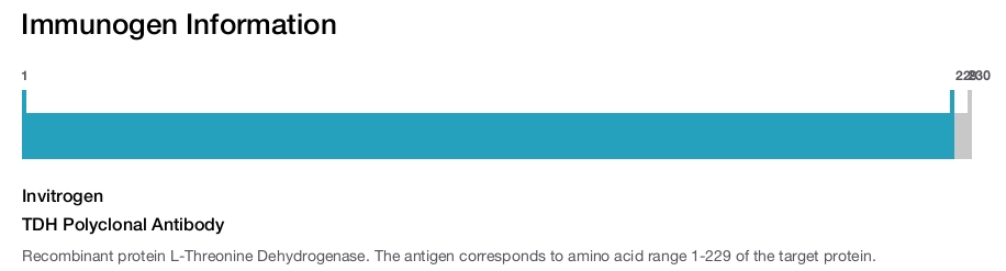 TDH Polyclonal Antibody