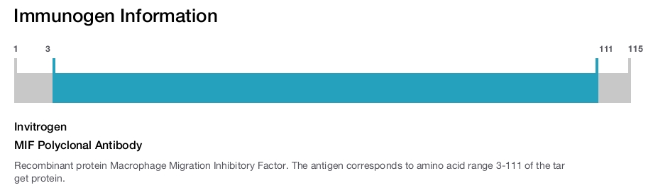 MIF Polyclonal Antibody