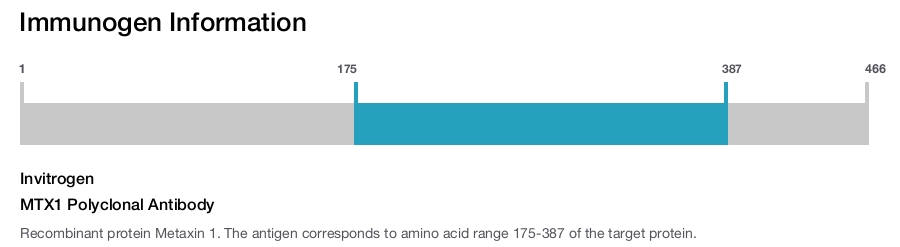 MTX1 Polyclonal Antibody