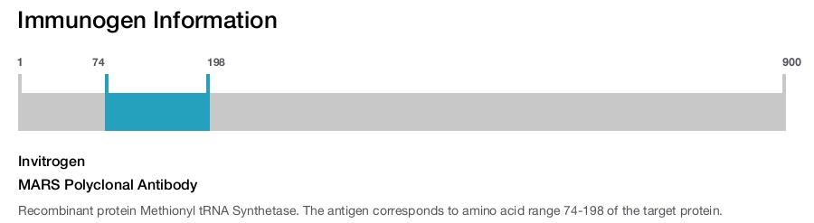 MARS Polyclonal Antibody
