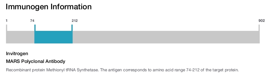 MARS Polyclonal Antibody