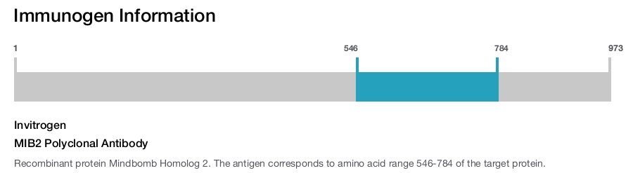 MIB2 Polyclonal Antibody