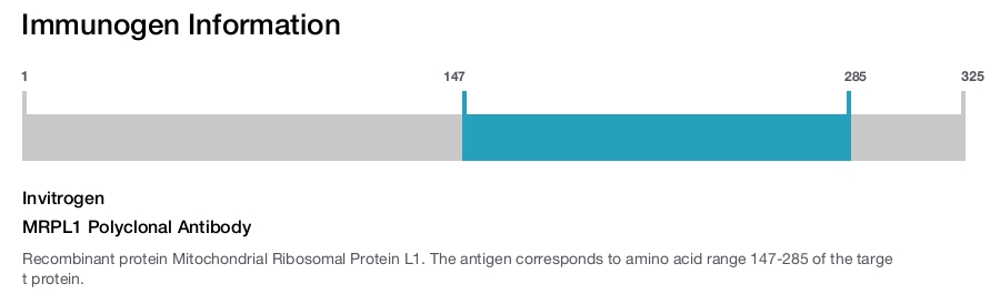 MRPL1 Polyclonal Antibody