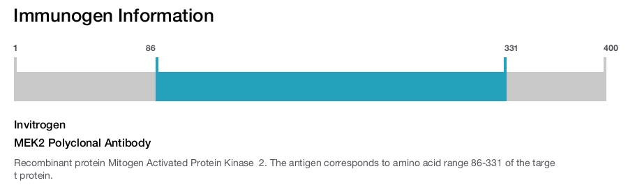 MEK2 Polyclonal Antibody