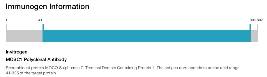 MOSC1 Polyclonal Antibody