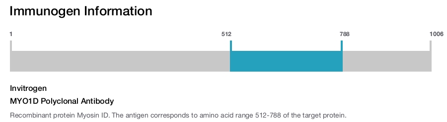 MYO1D Polyclonal Antibody