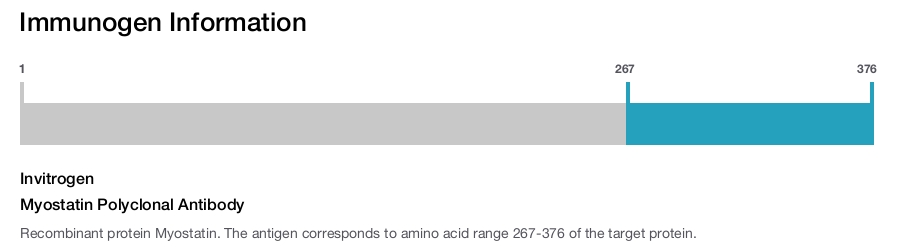 Myostatin Polyclonal Antibody