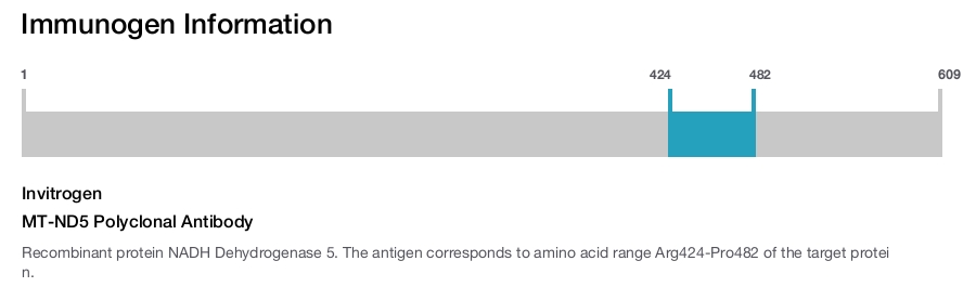 MT-ND5 Polyclonal Antibody