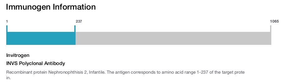 INVS Polyclonal Antibody