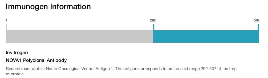 NOVA1 Polyclonal Antibody