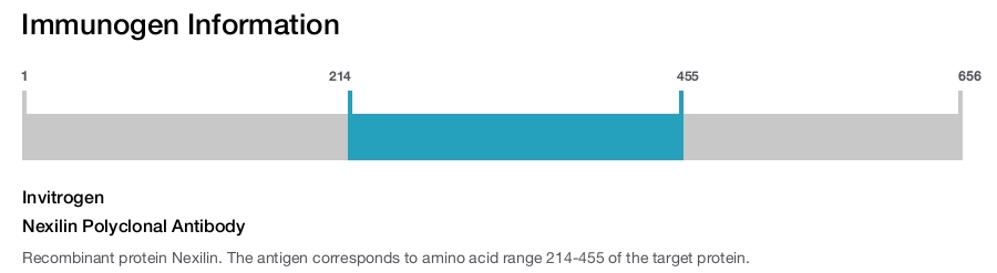 Nexilin Polyclonal Antibody