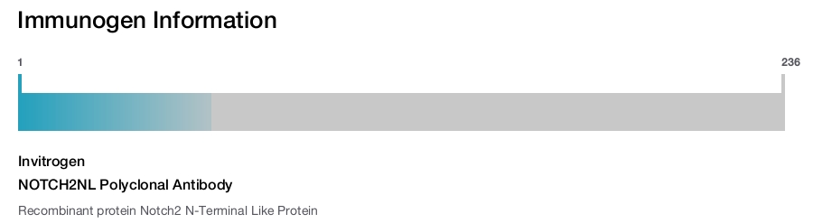 NOTCH2NL Polyclonal Antibody