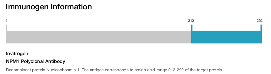 NPM1 Polyclonal Antibody